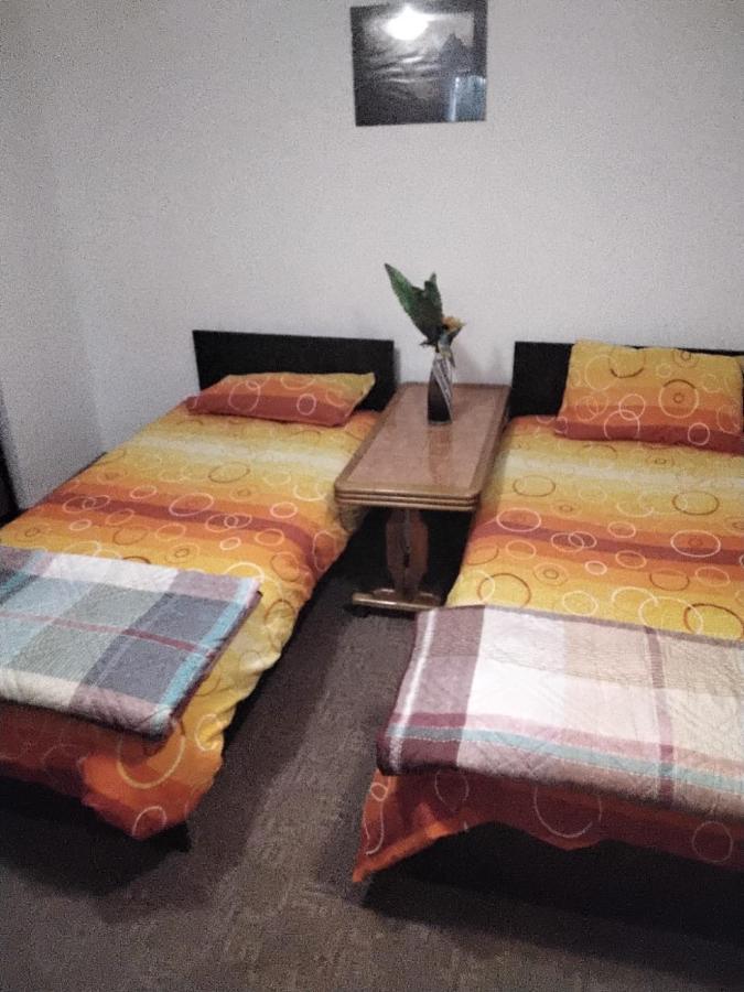 Camera Cu Baie Tina Temešvár Exteriér fotografie